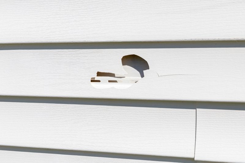 Assessing Vinyl Siding Damage